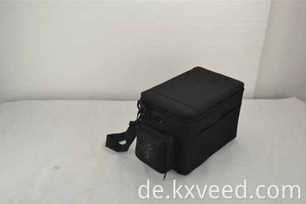 5lblack tragbarer Mini -Camping -Kühlschrank Isolierter Kühlerbox DC12V